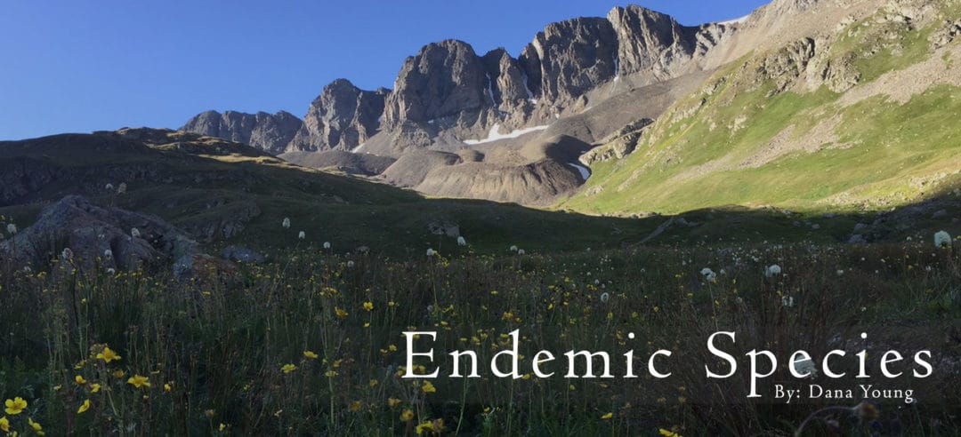 endemic-species-colorado-fourteeners-initiative